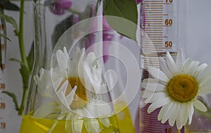 Laboratory flask flower on a light botany plant aromatherapy