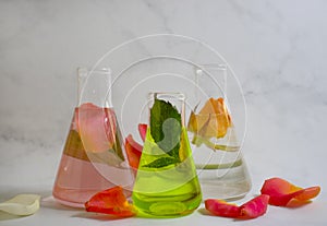 Laboratory flask flower rose on a light background