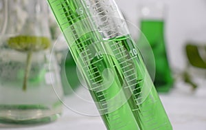 Laboratory flask    ingredient   glassware    organic    science  biotechnology on a light background extraction