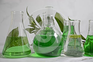 Laboratory flask   test    ingredient   glassware   blossom  organic    science  biotechnology on a light background extraction