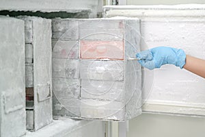 Laboratory freezer for keep isolated pathogen photo