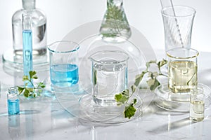 Laboratory glass equipment with natural ingredients on white background