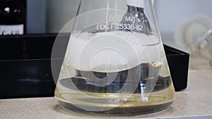 Laboratory glass Erlenmeyer conical flask filled with chemical white liquid for a chemistry experiment in a science