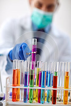 Laboratory glass test tubes filled with liquid for an experiment