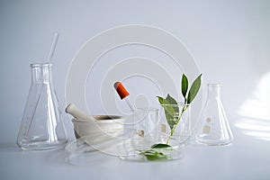 Laboratory glassware and cosmetic glass bottle on grey background