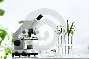 Laboratory glassware with different plants and microscope on table against blurred background