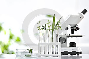 Laboratory glassware with different plants and microscope on table against blurred background, space for text