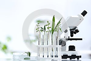 Laboratory glassware with different plants and microscope on table against blurred background, space for text