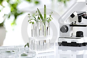 Laboratory glassware with different plants on table against blurred background