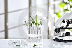 Laboratory glassware with different plants on table against blurred background