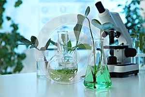 Laboratory glassware with plants and microscope on table