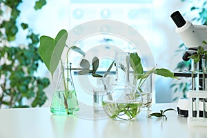 Laboratory glassware with plants and microscope on table.