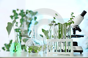Laboratory glassware with plants and microscope on table, space for text.