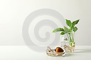 Laboratory glassware with plants on white background.