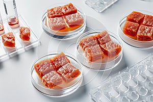 Laboratory for growing artificial synthetic meat. Laboratory meat samples with laboratory supplies lie on the table