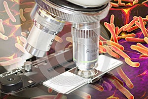 Laboratory microscope and blood flow