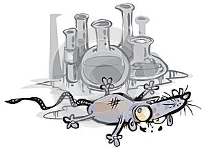 Laboratory mouse.