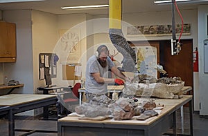 Laboratory at the Museum of Paleontology Egidio Feruglio in Trelew city, Patagonia, Argentina