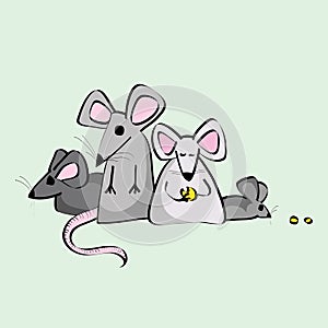 Laboratory Pet Rats in a Group, Eating