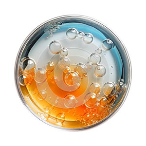 Laboratory petri dish with liquid isolated on white, transparent, top view