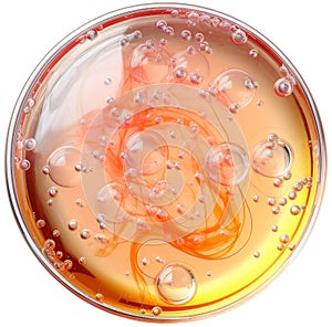 Laboratory petri dish with liquid isolated on white, transparent, top view