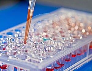 Laboratory Pipette Dispensing Liquid Into Microplate