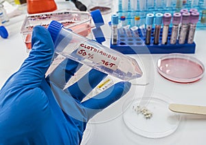 Laboratory research on the insecticide clothianidin, cause of malaria disease through The Anopheles family of malarial mosquitoes photo