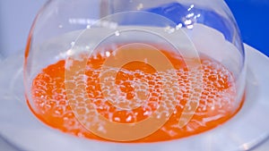 Laboratory round bottom flask heating equipment - boiling orange liquid: closeup