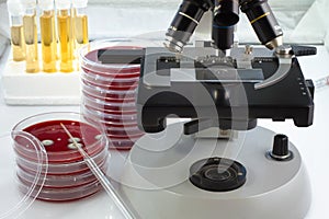 laboratory table with a microscope, plates and tubes for analysis