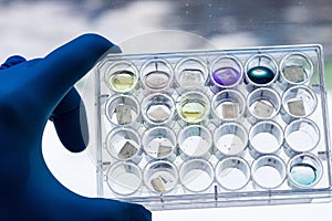 Laboratory technician holding a multi-channel microplate towards light. Analyzing results of a tests