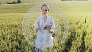 Laboratory-technician using digital tablet computer in a cultivated wheat field, application of modern technologies in