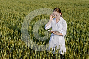 Laboratory-technician using digital tablet computer in a cultivated wheat field, application of modern technologies in