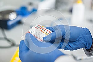 Laboratory technician working with test strips indicator paper