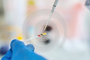 Laboratory technician working with test strips indicator paper