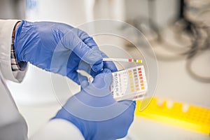 Laboratory technician working with test strips indicator paper