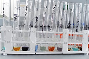 Laboratory test for determination of carbohydrates and proteins