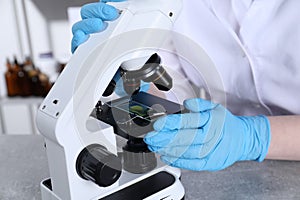 Laboratory testing. Scientist examining sample on slide under microscope indoors, closeup