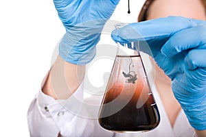 Laboratory tests, contamination photo