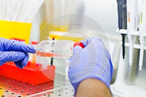 Laboratory work with tissue cultures