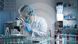 Laboratory worker carefully exploring samples to detect chronic pathologies