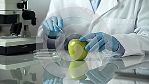 Laboratory worker carrying out research on apple, checking chemical reaction