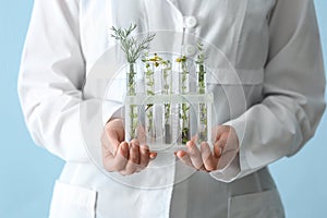 Laboratory worker holding test tubes with plants on color background, closeup