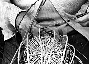 Laborious hands of elder craftsmen create a wicker basket photo
