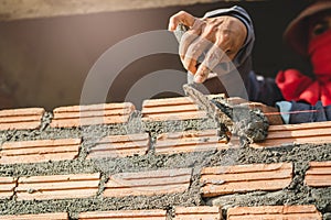 Labourer working build cement brick wall