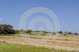 Labourers working in field on Gozo, Malta