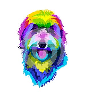 Labradoodle dog head portrait from multicolored paints. Labrador Splash of watercolor, colorful drawing, realistic