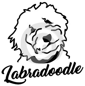 Labradoodle head silhouette with name