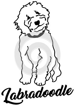 Labradoodle silhouette white