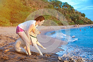 Labrador dog afraid of swimming photo