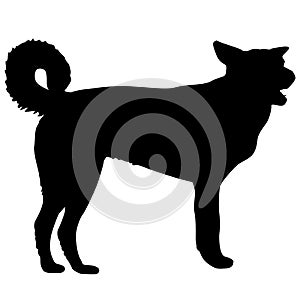 Labrador dog black silhouette on white background